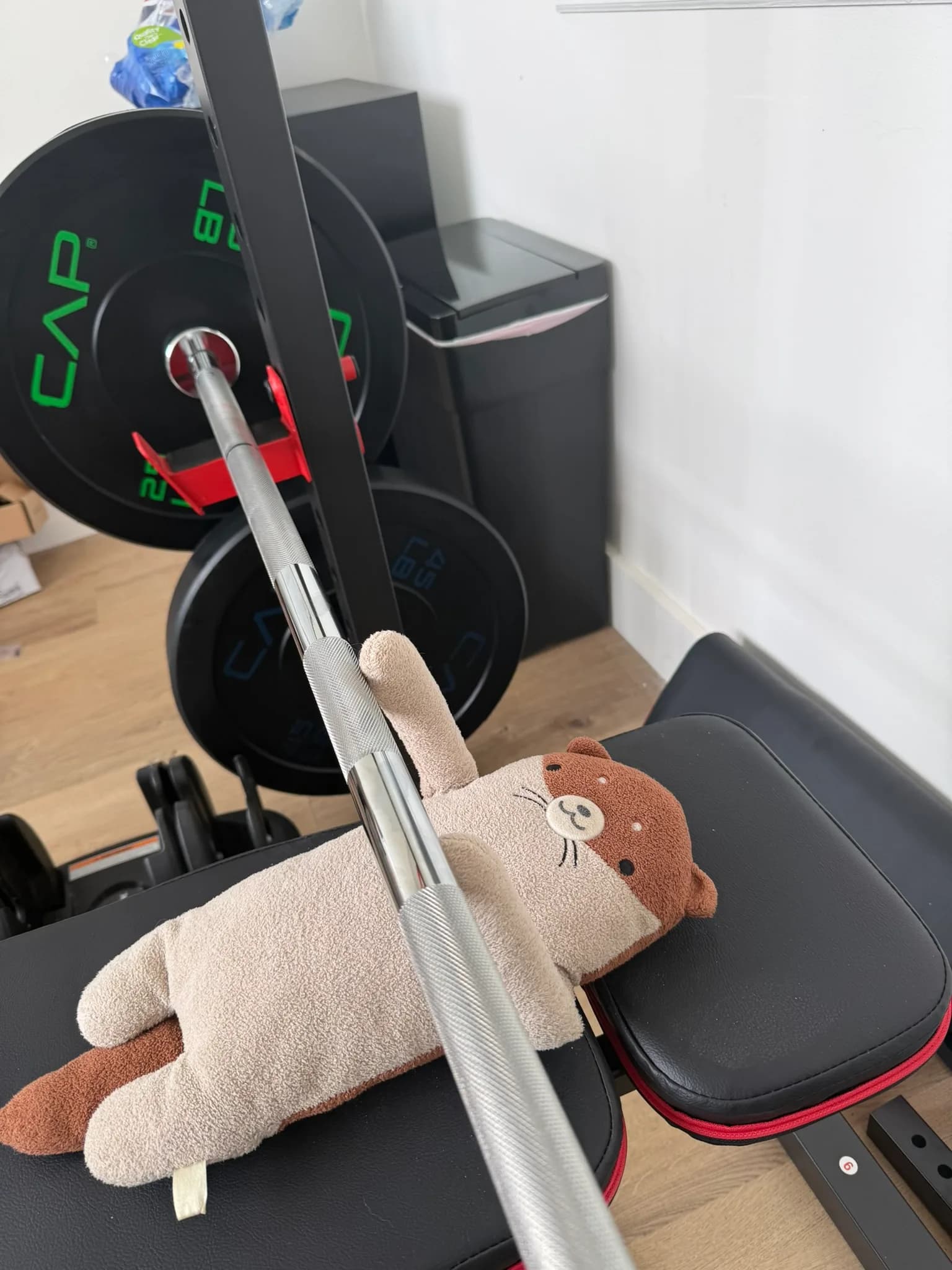 Buster, a plush otter, lying on a weight bench beneath a barbell