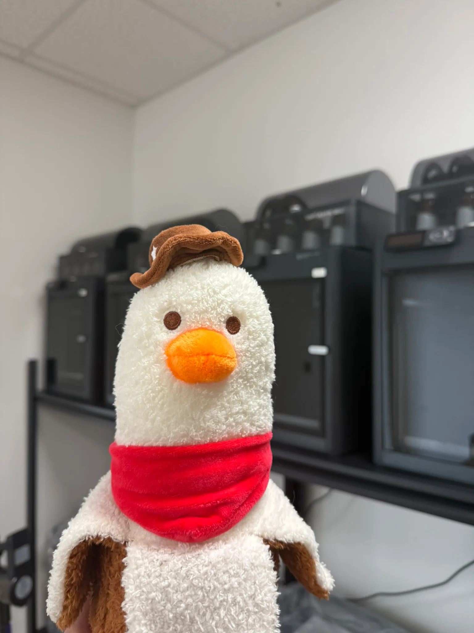 Carlito, a plush duck in a brown hat and red bandana, standing in front of a bank of 3D printers